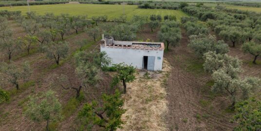 Un’oasi di pace tra ulivi e natura…….in contrada San Marcello